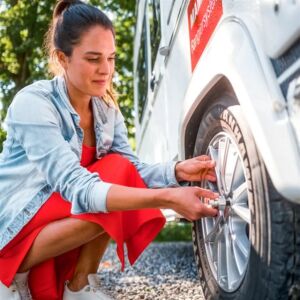 Al-ko Prosafe 13-17inç Araç ve Karavan Teker Kilidi